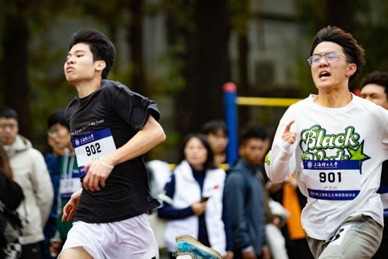 云雀体育稳定线路
