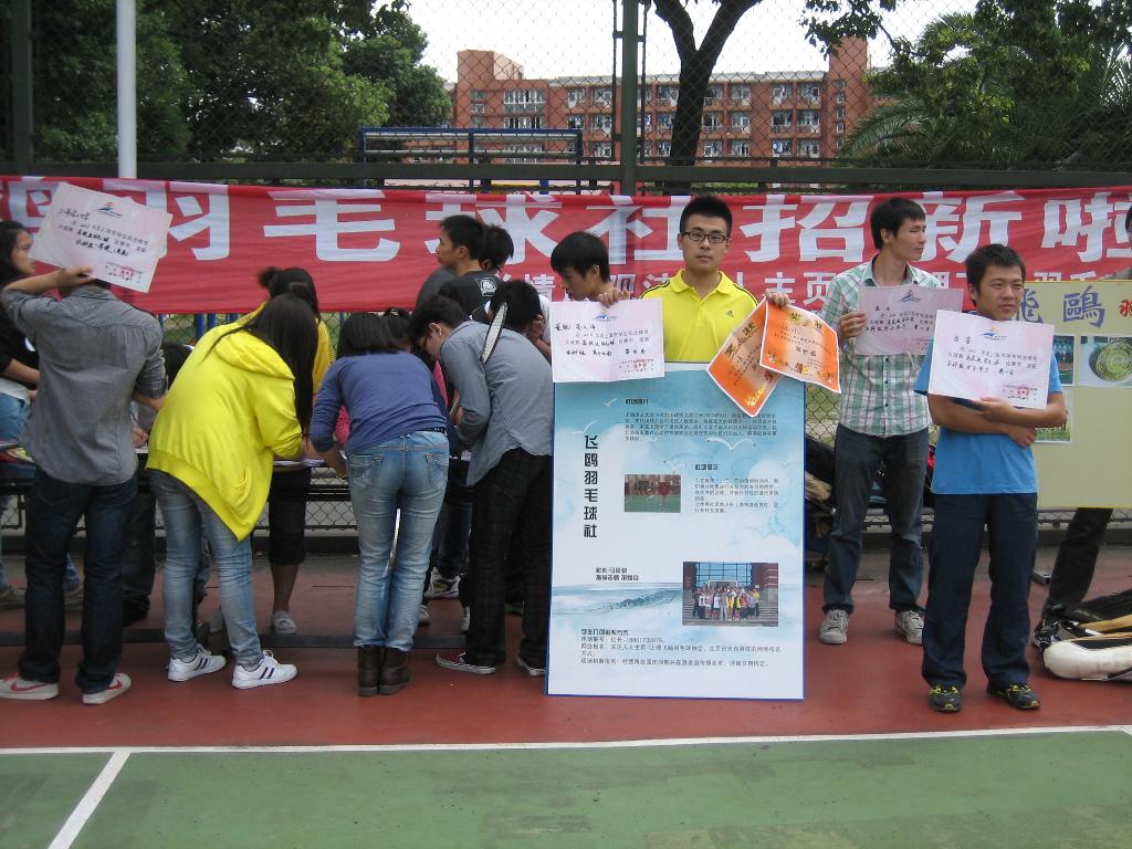 云雀体育平台图片